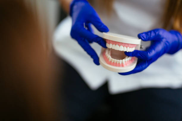 Best Preventive Dentistry  in Leadville, CO